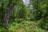 Off Watersmeet Lake Rd - Photo 10