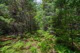 Off Watersmeet Lake Rd - Photo 11