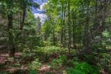 Off Watersmeet Lake Rd - Photo 12