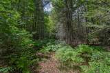 Off Watersmeet Lake Rd - Photo 13