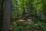 Off Watersmeet Lake Rd - Photo 14