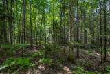 Off Watersmeet Lake Rd - Photo 15