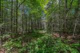 Off Watersmeet Lake Rd - Photo 16