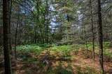 Off Watersmeet Lake Rd - Photo 17