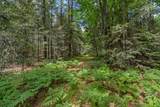 Off Watersmeet Lake Rd - Photo 19