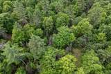 Off Watersmeet Lake Rd - Photo 26