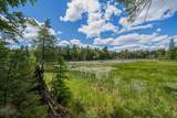Off Watersmeet Lake Rd - Photo 4