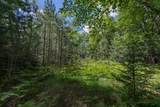 Off Watersmeet Lake Rd - Photo 6