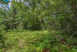 Off Watersmeet Lake Rd - Photo 7