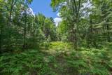 Off Watersmeet Lake Rd - Photo 8