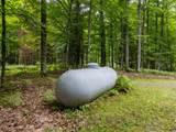 104 Hagerman Lake Rd - Photo 49