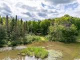 104 Hagerman Lake Rd - Photo 51