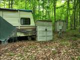 6274 Camp 6 Loop Rd - Photo 8