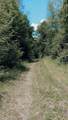off Bass Lake Rd - Photo 12
