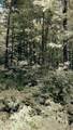 off Bass Lake Rd - Photo 5