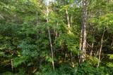 Lot 4-6 Dads Lake Rd - Photo 3