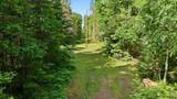 Lot ON Coach Ln - Photo 6