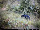 ON Shawano Line Rd - Photo 10