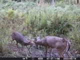 ON Shawano Line Rd - Photo 4