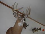 ON Shawano Line Rd - Photo 5