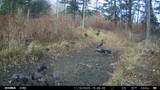 ON Shawano Line Rd - Photo 6