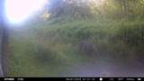 ON Shawano Line Rd - Photo 7