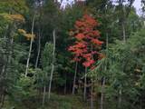ON Shawano Line Rd - Photo 9