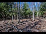 Lot 19 Memory Ln - Photo 5
