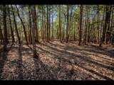 Lot 19 Memory Ln - Photo 6