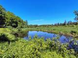 26534 Schoch Rd - Photo 16