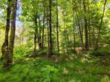 26534 Schoch Rd - Photo 19