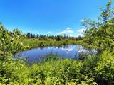 26534 Schoch Rd - Photo 2