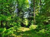 26534 Schoch Rd - Photo 6