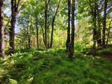 26534 Schoch Rd - Photo 9