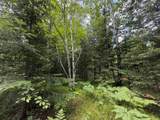 Lot 2 Tahoe Cr - Photo 6