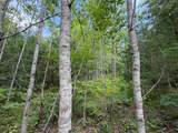 Lot 2 Tahoe Cr - Photo 8