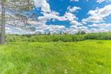 14215 Tamarack Ln - Photo 39