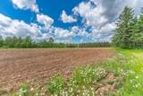 14215 Tamarack Ln - Photo 41