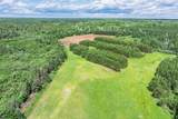 14215 Tamarack Ln - Photo 48
