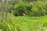 14215 Tamarack Ln - Photo 52
