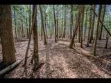 Lot 21 Bonita Pt - Photo 1