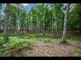 ON Clearwater Lake Tr - Photo 17