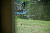 4125 Bay Rd - Photo 43