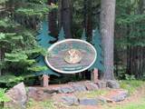 Lot 10 Spruce Meadows Ln - Photo 1