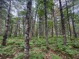 Lot #288 Ridgewood Dr - Photo 15