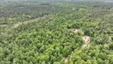 5 AC Timbercrest Way - Photo 6
