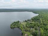 229 Lake Emily Rd - Photo 50