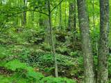 Lot 14 Alpine Shores Dr - Photo 12
