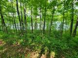 Lot 14 Alpine Shores Dr - Photo 8