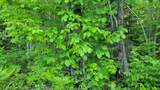 ON Doland Rd - Photo 5